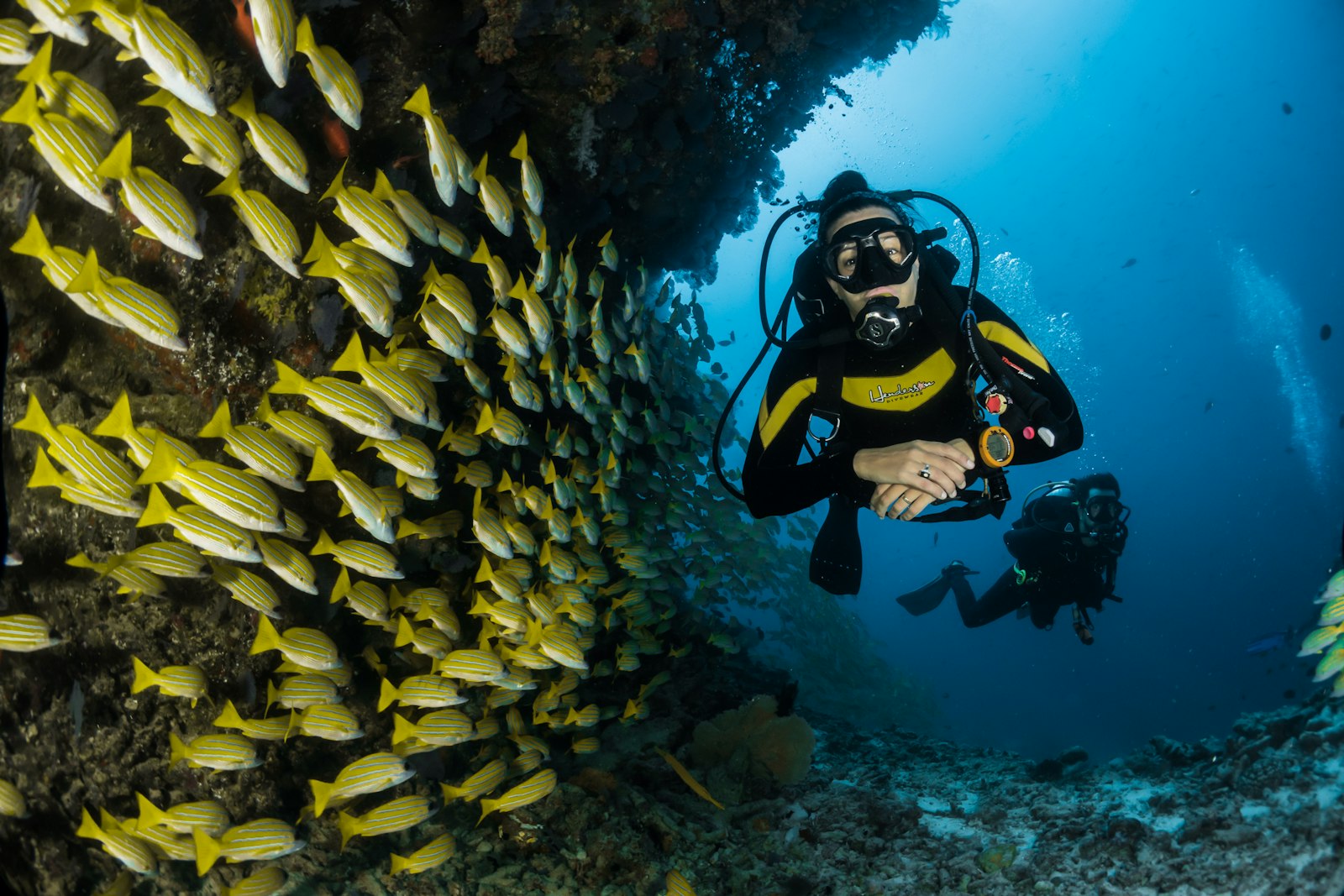Andaman & Nicobar